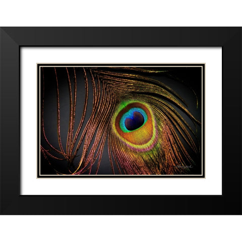 Peacock Feather I Black Modern Wood Framed Art Print with Double Matting by Hausenflock, Alan