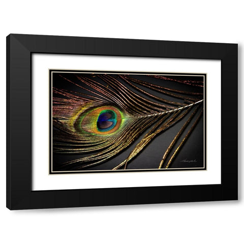 Peacock Feather II Black Modern Wood Framed Art Print with Double Matting by Hausenflock, Alan