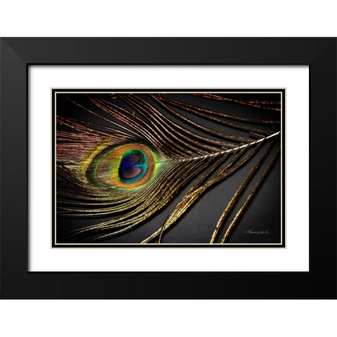 Peacock Feather II Black Modern Wood Framed Art Print with Double Matting by Hausenflock, Alan