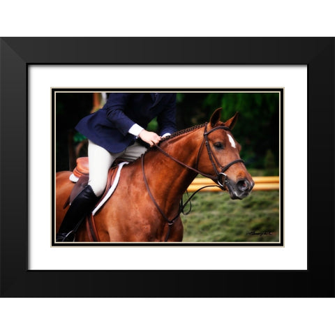 Dressage I Black Modern Wood Framed Art Print with Double Matting by Hausenflock, Alan