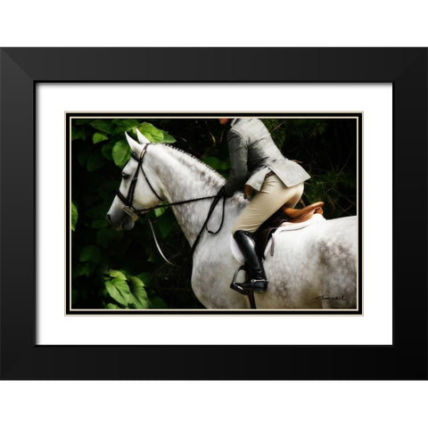 Dressage II Black Modern Wood Framed Art Print with Double Matting by Hausenflock, Alan