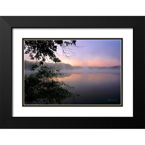 Shelley Lake Fog Black Modern Wood Framed Art Print with Double Matting by Hausenflock, Alan