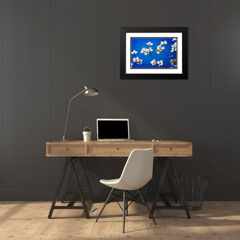 Dogwood on Blue II Black Modern Wood Framed Art Print with Double Matting by Hausenflock, Alan