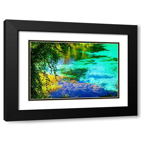 Rainbow River Black Modern Wood Framed Art Print with Double Matting by Hausenflock, Alan