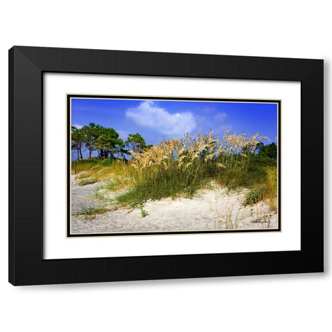 Cape Lookout Island Black Modern Wood Framed Art Print with Double Matting by Hausenflock, Alan