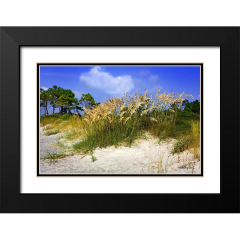 Cape Lookout Island Black Modern Wood Framed Art Print with Double Matting by Hausenflock, Alan