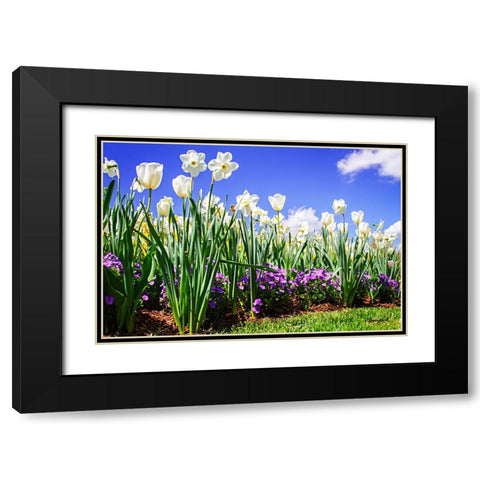 Flower Border I Black Modern Wood Framed Art Print with Double Matting by Hausenflock, Alan