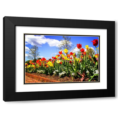 Flower Border II Black Modern Wood Framed Art Print with Double Matting by Hausenflock, Alan