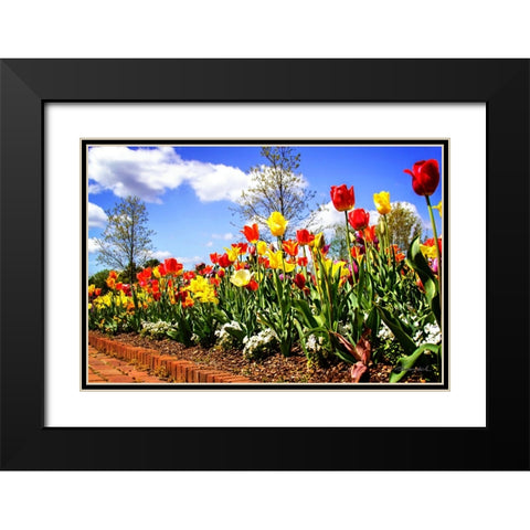 Flower Border II Black Modern Wood Framed Art Print with Double Matting by Hausenflock, Alan