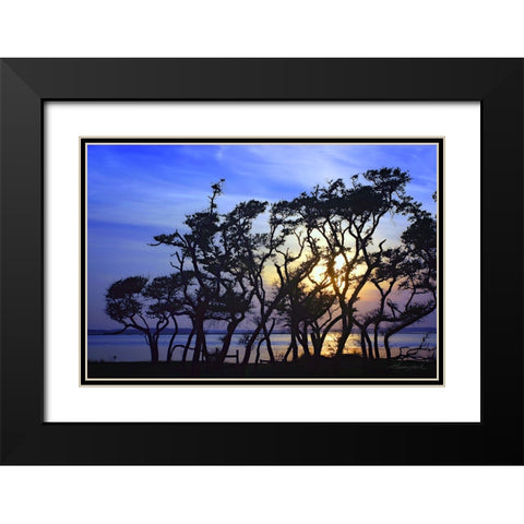 Lennoxville Point Black Modern Wood Framed Art Print with Double Matting by Hausenflock, Alan