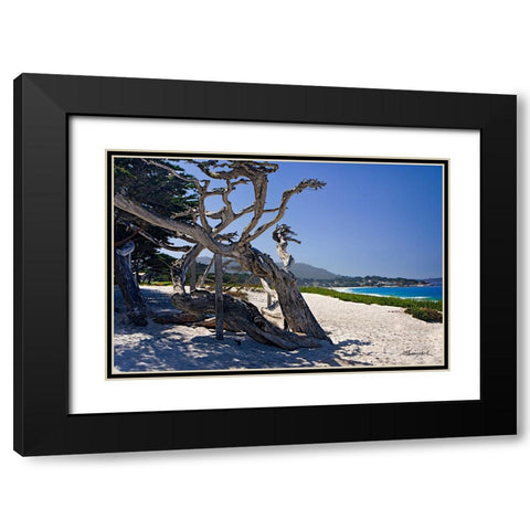 Carmel Beach Black Modern Wood Framed Art Print with Double Matting by Hausenflock, Alan