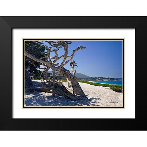 Carmel Beach Black Modern Wood Framed Art Print with Double Matting by Hausenflock, Alan