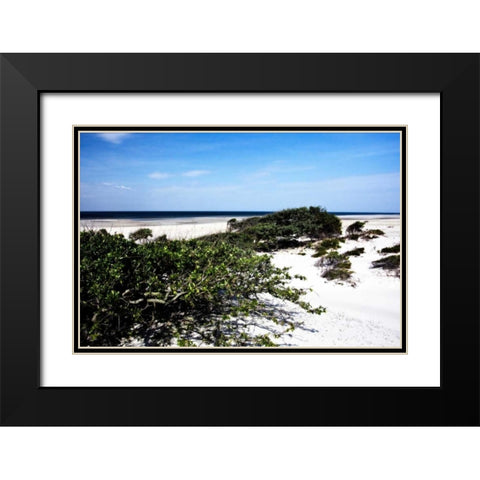 Cedar Island II Black Modern Wood Framed Art Print with Double Matting by Hausenflock, Alan