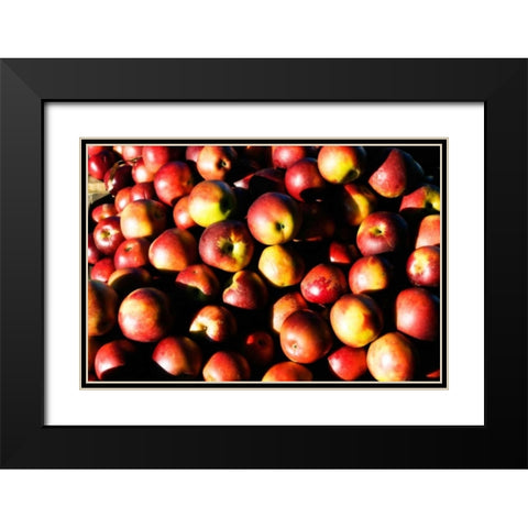 Apples Black Modern Wood Framed Art Print with Double Matting by Hausenflock, Alan