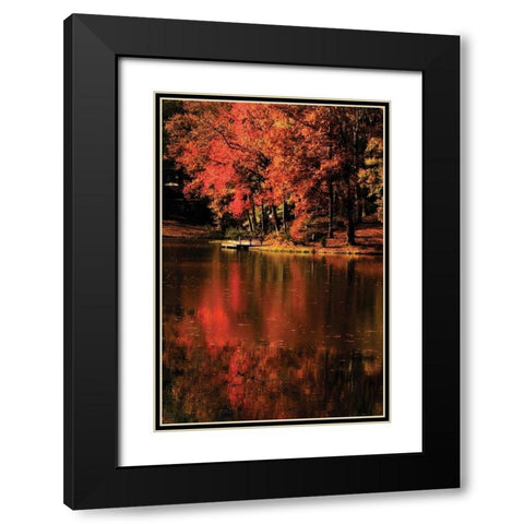 Red Reflections Black Modern Wood Framed Art Print with Double Matting by Hausenflock, Alan