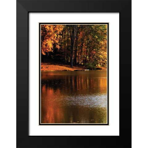 Gold Reflections Black Modern Wood Framed Art Print with Double Matting by Hausenflock, Alan