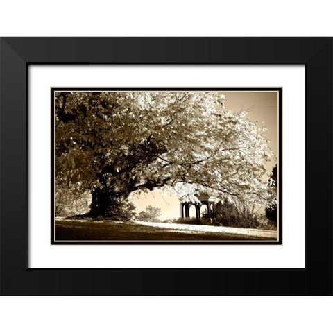 Gazebo Black Modern Wood Framed Art Print with Double Matting by Hausenflock, Alan