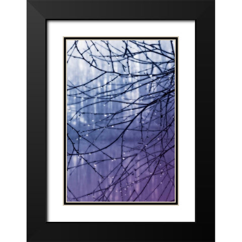Droplets I Black Modern Wood Framed Art Print with Double Matting by Hausenflock, Alan