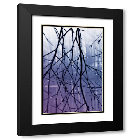 Droplets II Black Modern Wood Framed Art Print with Double Matting by Hausenflock, Alan