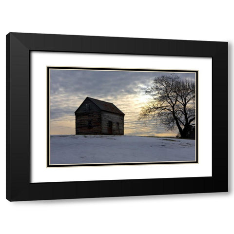 Winter Sky I Black Modern Wood Framed Art Print with Double Matting by Hausenflock, Alan