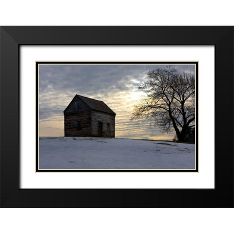 Winter Sky I Black Modern Wood Framed Art Print with Double Matting by Hausenflock, Alan