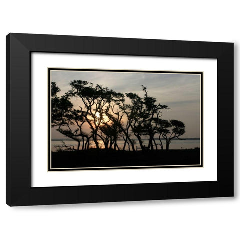 Beaufort II Black Modern Wood Framed Art Print with Double Matting by Hausenflock, Alan