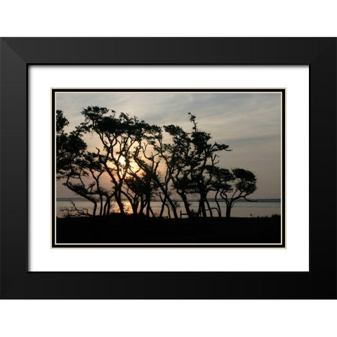 Beaufort II Black Modern Wood Framed Art Print with Double Matting by Hausenflock, Alan