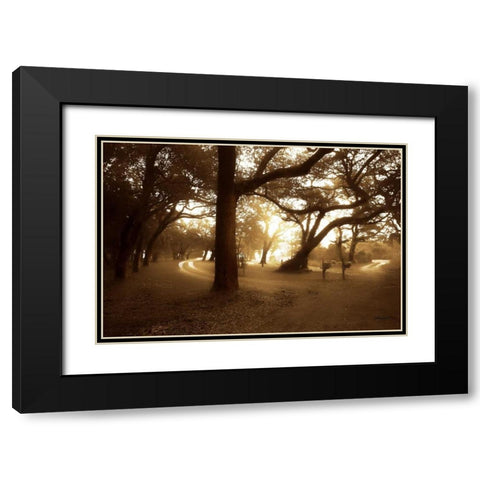 Salvation Retreat I Black Modern Wood Framed Art Print with Double Matting by Hausenflock, Alan