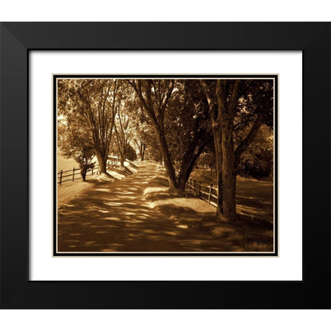 Summer Stroll I Black Modern Wood Framed Art Print with Double Matting by Hausenflock, Alan