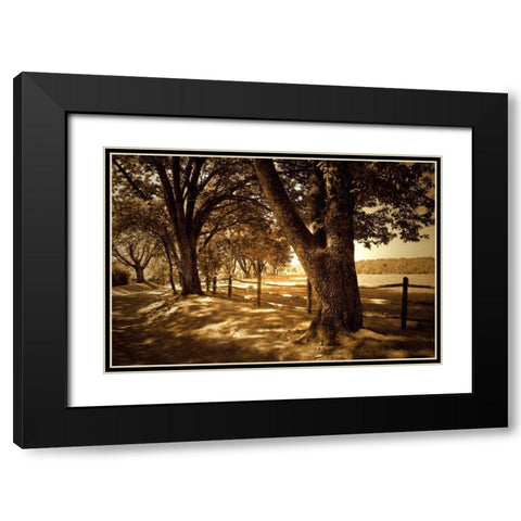 Summer Stroll II Black Modern Wood Framed Art Print with Double Matting by Hausenflock, Alan