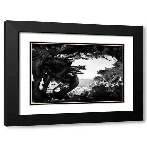 Ocean View I Black Modern Wood Framed Art Print with Double Matting by Hausenflock, Alan