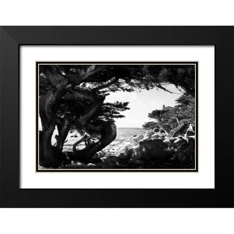 Ocean View I Black Modern Wood Framed Art Print with Double Matting by Hausenflock, Alan