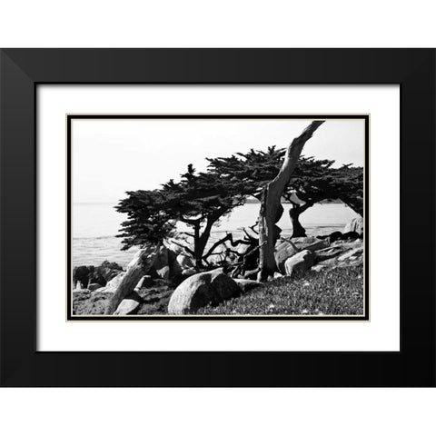 Ocean View II Black Modern Wood Framed Art Print with Double Matting by Hausenflock, Alan