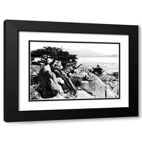Ocean Cliff II Black Modern Wood Framed Art Print with Double Matting by Hausenflock, Alan