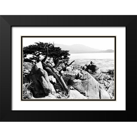 Ocean Cliff II Black Modern Wood Framed Art Print with Double Matting by Hausenflock, Alan