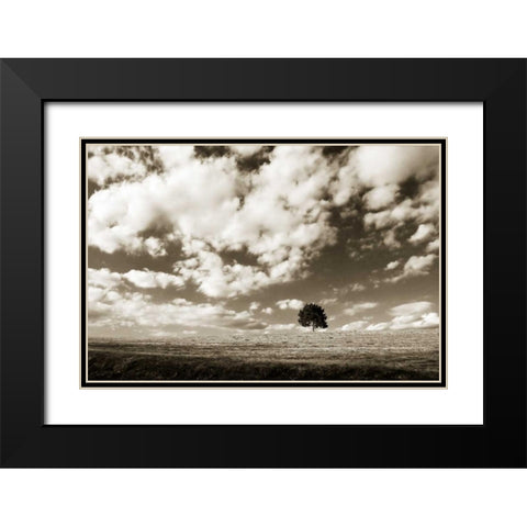 Cloudy Skies I Black Modern Wood Framed Art Print with Double Matting by Hausenflock, Alan