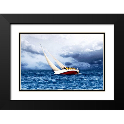 In the Wind I Black Modern Wood Framed Art Print with Double Matting by Hausenflock, Alan