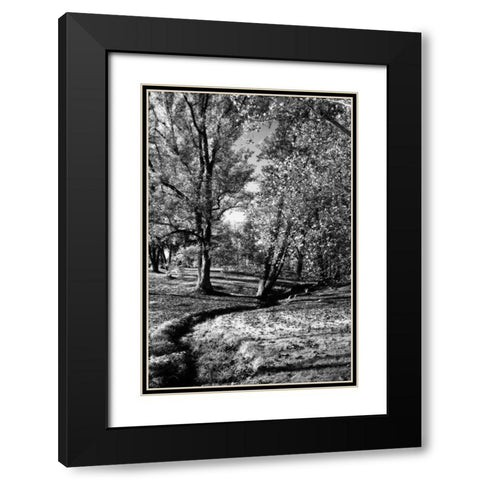 A Small Creek Black Modern Wood Framed Art Print with Double Matting by Hausenflock, Alan