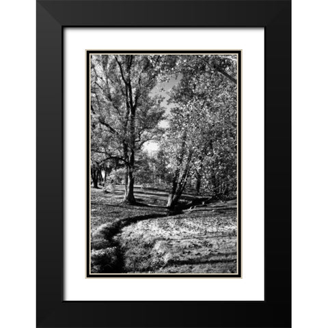 A Small Creek Black Modern Wood Framed Art Print with Double Matting by Hausenflock, Alan