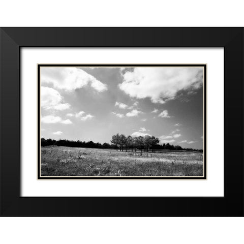 Tree Line II Black Modern Wood Framed Art Print with Double Matting by Hausenflock, Alan