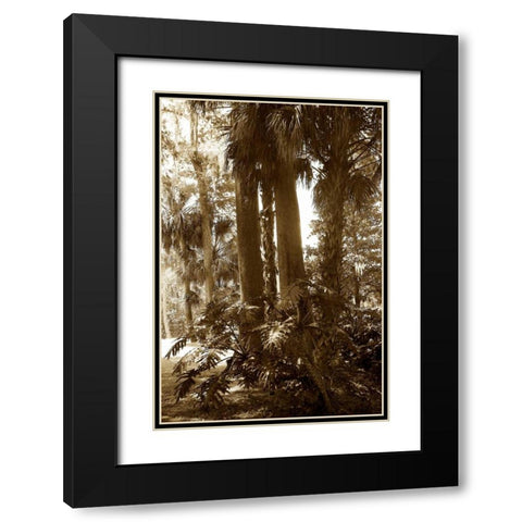 Tropical Garden II Black Modern Wood Framed Art Print with Double Matting by Hausenflock, Alan