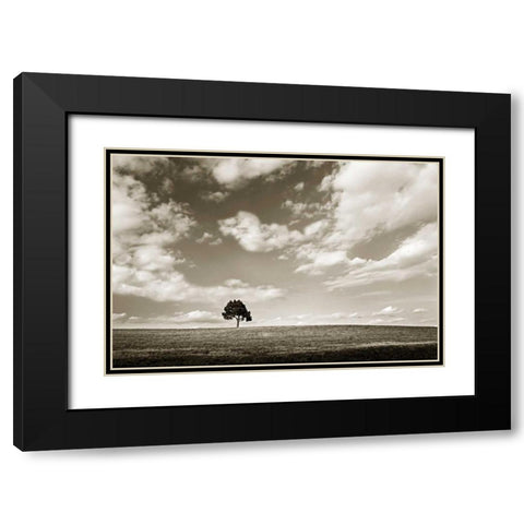 Cloudy Skies III Black Modern Wood Framed Art Print with Double Matting by Hausenflock, Alan