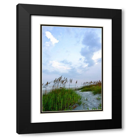 Early Morning in the Dunes V Black Modern Wood Framed Art Print with Double Matting by Hausenflock, Alan
