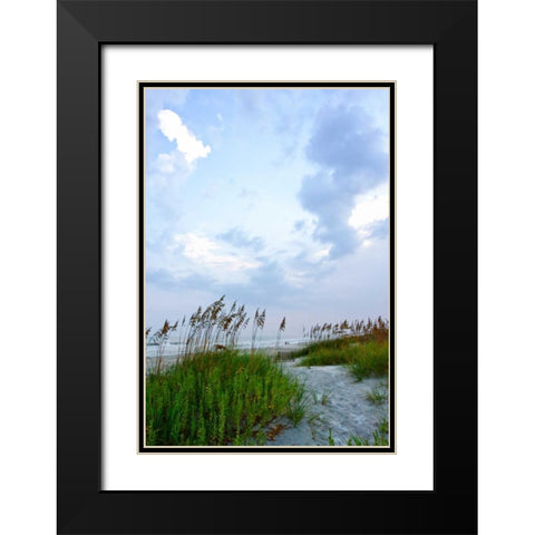 Early Morning in the Dunes V Black Modern Wood Framed Art Print with Double Matting by Hausenflock, Alan