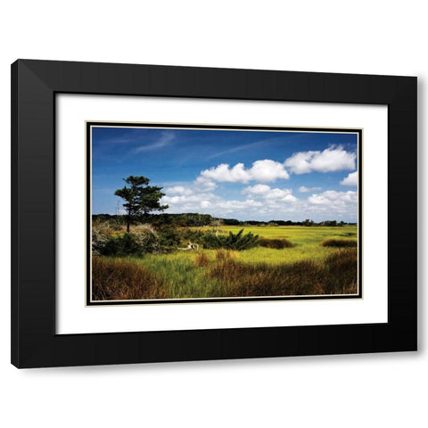 Marshland I Black Modern Wood Framed Art Print with Double Matting by Hausenflock, Alan