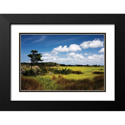 Marshland I Black Modern Wood Framed Art Print with Double Matting by Hausenflock, Alan