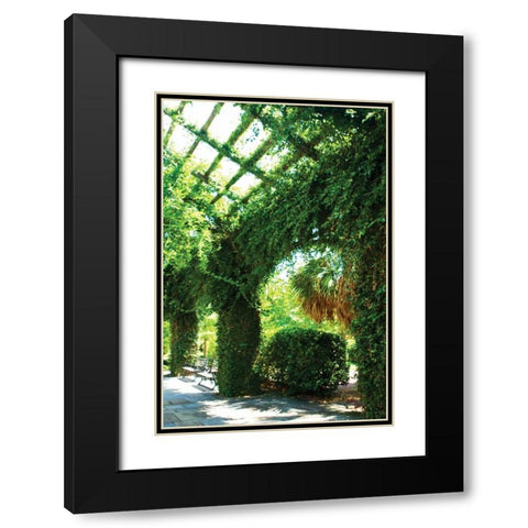 Ivy I Black Modern Wood Framed Art Print with Double Matting by Hausenflock, Alan