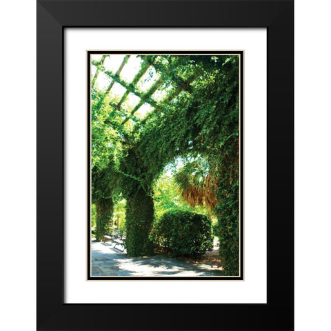 Ivy I Black Modern Wood Framed Art Print with Double Matting by Hausenflock, Alan