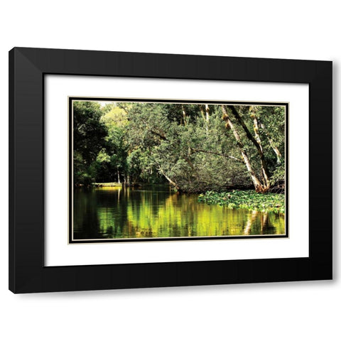 Silver River I Black Modern Wood Framed Art Print with Double Matting by Hausenflock, Alan