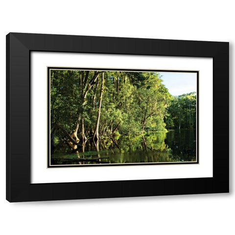 Silver River II Black Modern Wood Framed Art Print with Double Matting by Hausenflock, Alan